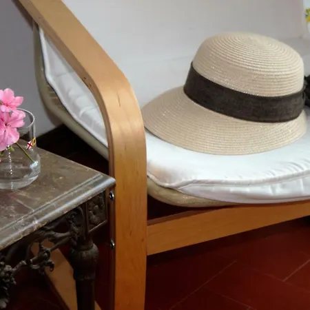 Sunny Close To The Albufeira