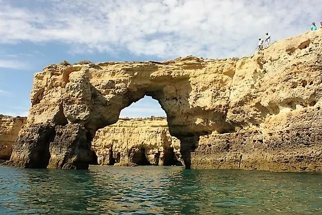 Sunny Close To The Apartment