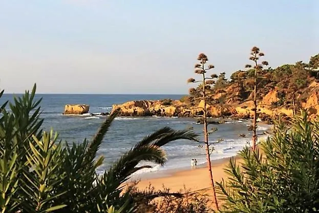 Sunny Close To The Albufeira