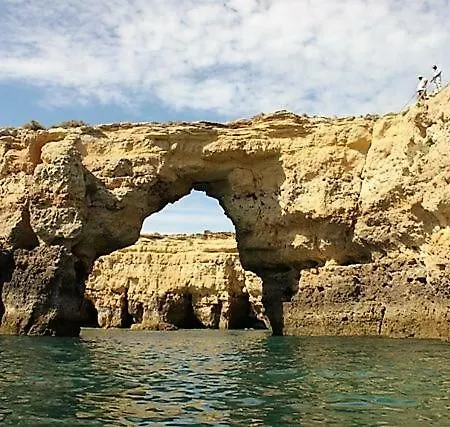 Sunny Close To The Apartment