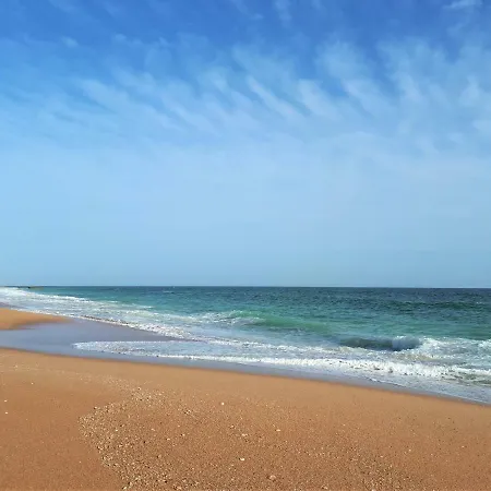 Sunny Close To The Apartment