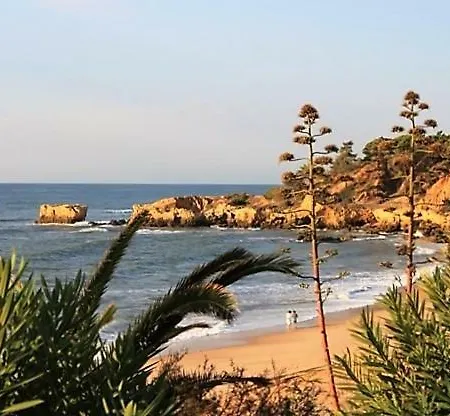 Sunny Close To The Albufeira